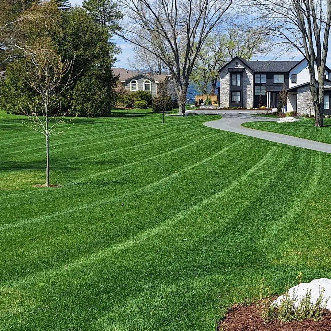 Parker's Lawn Care project photo 3