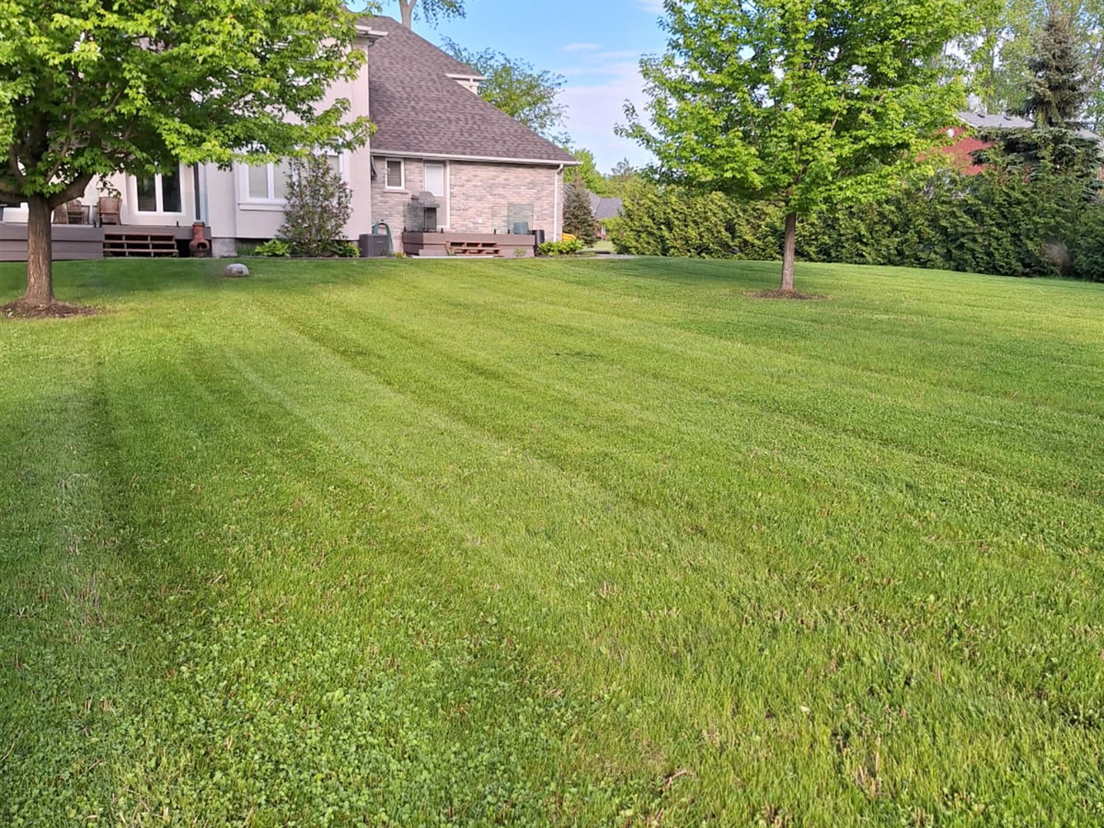Parker's Lawn Care project photo 6